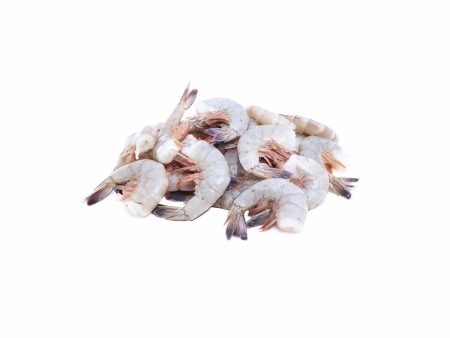 16 20 Raw Mexico Shrimp Hot on Sale