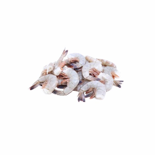 16 20 Raw Mexico Shrimp Hot on Sale