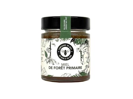 COMPAGNIE DU MIEL FOREST HONEY 170g Hot on Sale