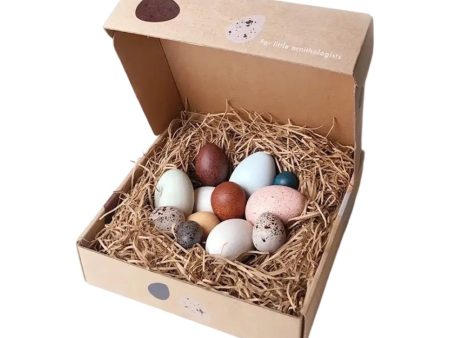 A Dozen Bird Eggs For Cheap