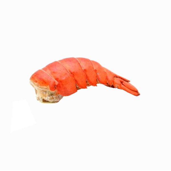 Lobster Tail 7-8oz Online