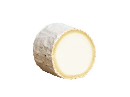 BOUCHE DE CHEVRE Online now