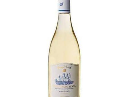 Grand Fossil Sauvignon Blanc 2020 - 750ML For Discount