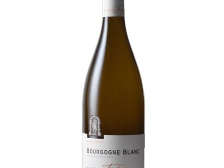 Jean-Philippe Fichet Bourgogne Blanc 2019 - 750ML Online now